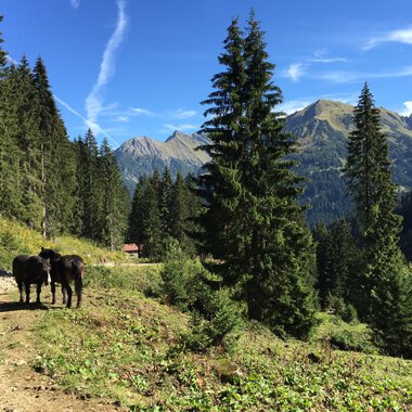Bei der Duraalpe