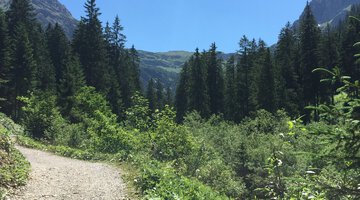 Hinein ins Gemsteltal