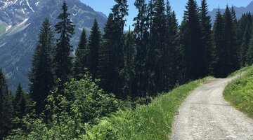 Zwölfer und Elfer