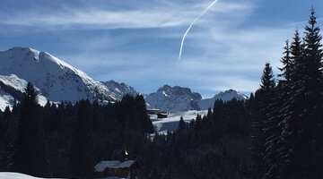 Winterwandern im Wäldele