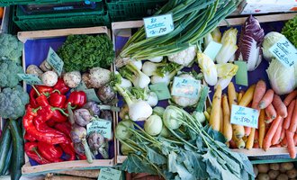 A colorful market table with fresh vegetables. There are bell peppers, carrots, kohlrabi, and various herbs visible.