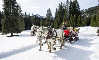 A horse-drawn sleigh is traveling through a snow-covered landscape with tall pines. In the background, mountains and a blue sky can be seen.