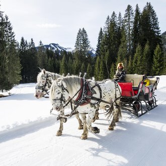A horse-drawn sleigh is traveling through a snow-covered landscape with tall pines. In the background, mountains and a blue sky can be seen.