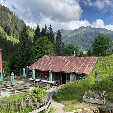 Eine gemütliche Berghütte mit rotem Dach und grünen Sonnenschirmen. Im Hintergrund sind grüne Hügel und Berge unter einem klaren Himmel zu sehen. | © Alpe Widderstein | Tom Egger