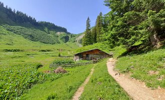 A picturesque mountain cabin surrounded by green meadows and trees. A narrow path winds through the landscape. | © Kleinwalsertal Tourismus | Steffen Stöhr