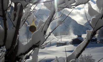 A snow-covered tree in front of a picturesque mountain landscape. The sun shines brightly through the branches and reflects off the snow. | © Panoramahütte