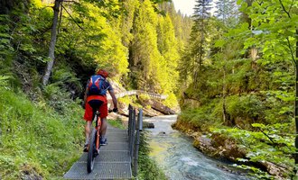 Ein Radfahrer fährt auf einem schmalen Weg entlang eines klaren Flusses. Die Umgebung ist grün mit hohen Bäumen und sonnigem Wetter. | © WalserBike Tours | Christian Gutermuth