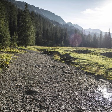 A hiking trail in the Black Forest, surrounded by woods and mountains, under sunlight with a clear sky. | © Kleinwalsertal Tourismus eGen • Photographer: Andre Tappe