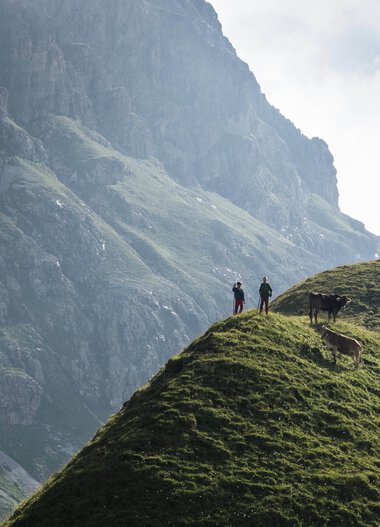 Zwei Personen mit einem Hund auf einer grünen Hügelkuppe vor beeindruckender Bergkulisse im Hintergrund. | © Kleinwalsertal Tourismus eGen • Fotograf: Andre Tappe