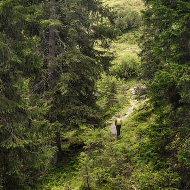 Hiker walking on a trail through a lush green forested valley with tall trees. | © Kleinwalsertal Tourismus eGen • Photographer: Andre Tappe