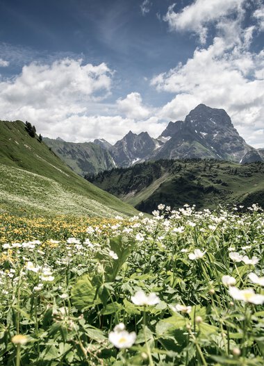 Panorama des Derratals mit Blumenwiese im Vordergrund und Bergen im Hintergrund bei schönem Wetter. | © Kleinwalsertal Tourismus eGen • Fotograf: Dominik Berchtold