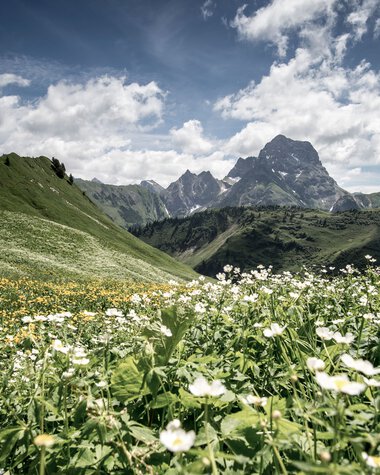 Panoramic view of Derratal with a flower meadow in the foreground and mountains in the background on a sunny day. | © Kleinwalsertal Tourismus eGen • Photographer: Dominik Berchtold