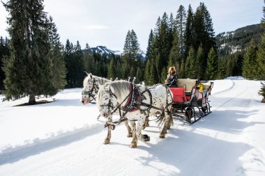 Zwei Ponys ziehen eine Pferdeschlitten-Kutsche durch eine verschneite Winterlandschaft, umgeben von dichten Tannen und Bergen im Hintergrund. | © Kleinwalsertal Tourismus eGen • Fotograf: Dominik Berchtold