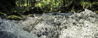 A fast-flowing stream in a lush green forest with sunlight filtering through the trees. | © Kleinwalsertal Tourismus eGen • Photographer: Oliver Farys