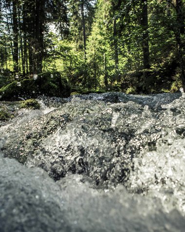 A fast-flowing stream in a lush green forest with sunlight filtering through the trees. | © Kleinwalsertal Tourismus eGen • Photographer: Oliver Farys