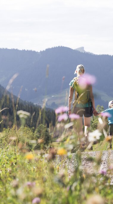Familie wandert auf einem Weg in den Bergen, umgeben von grüner Natur und bunten Blumen, bei sonnigem Wetter. | © Kleinwalsertal Tourismus eGen • Fotograf: Oliver Farys