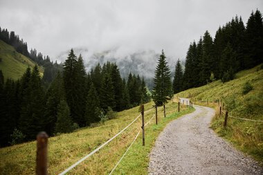 Trail in lush green, cloudy mountain landscape with pine trees, bordered by a rope, leading into the distance. | © Kleinwalsertal Tourismus eGen • Photographer: Oliver Farys