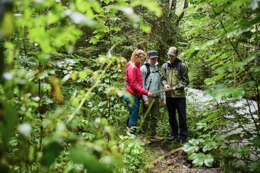 Drei Personen in einem Wald bei einer Wissensvermittlung, bei der sie die Natur erkunden und miteinander interagieren. | ©  Kleinwalsertal Tourismus eGen • Fotograf: Oliver Farys