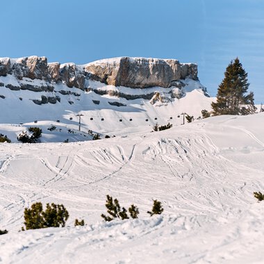 Winter landscape with groomed ski slopes and snow-covered trees in Kleinwalsertal, background with rocks and clear blue sky | © Kleinwalsertal Tourismus eGen • Photographer: Oliver Farys