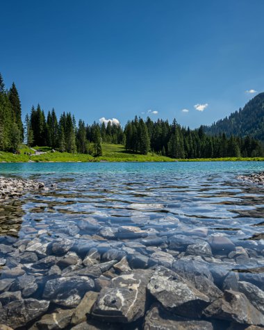 Clear mountain lake with rocky shores, surrounded by green meadows and dense pine forests under a blue sky. | © Kleinwalsertal Tourismus eGen • Photographer: Robert Niederwolfsgruber