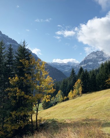 Mountain landscape with forests, meadows, and mountains under a blue sky with clouds in the background. | © Kleinwalsertal Tourismus eGen