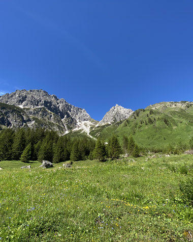 Landscape with green valley, forests, and mountains under clear blue sky during summer. | © Kleinwalsertal Tourismus eGen