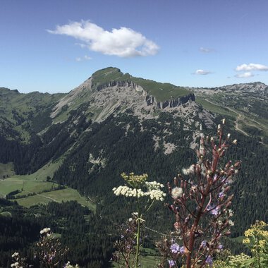 Stunning mountain landscape with green slopes, view of the Ifen in summer, with a blue sky and clouds. | © Kleinwalsertal Tourismus eGen