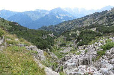 Landscape scene with green hills, rocks, and mountains in the background, typical alpine scenery in summer. | © Kleinwalsertal Tourismus eGen • Photographer: unknown