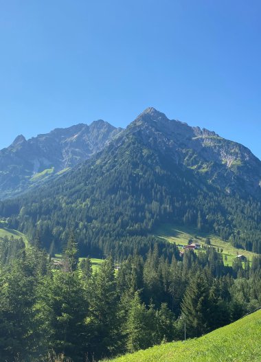Mountain landscape with tall peaks, green hills, and dense forests under a blue sky. | © Kleinwalsertal Tourismus eGen