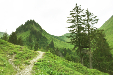 Wanderweg im malerischen Derratal im Kleinwalsertal, umgeben von grünen Bergen und Tannen, bei schönem Wetter. | © Kleinwalsertal Tourismus eGen