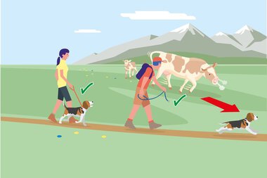Illustration von Personen, die mit Hunden in einer Wiese mit Bergen im Hintergrund Gassi gehen. Der Hund im Vordergrund läuft ins Wasser, andere Hunde bleiben an der Leine. | © Bundesministerium für Nachhaltigkeit und Tourismus