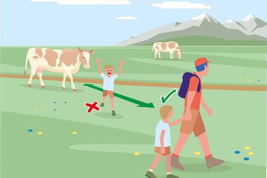 Illustration von Wanderern vor Kühen auf einer Alm, mit Hinweisen zum sicheren Verhalten in der Natur. | © Bundesministerium für Nachhaltigkeit und Tourismus
