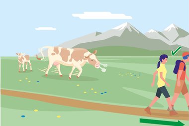 Zwei Wanderer gehen auf einem Weg in den Bergen, im Hintergrund grasen Kühe auf einer grünen Wiese. | © Bundesministerium für Nachhaltigkeit und Tourismus